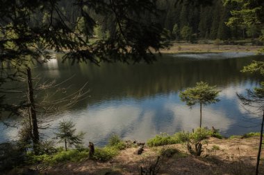 Güzel manzara olay yerinde küçük Arbersee Bavyera
