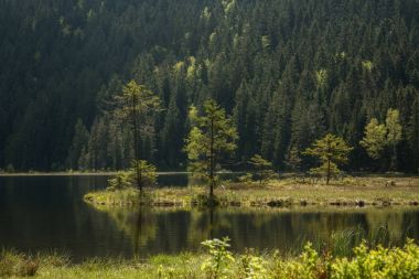 Güzel manzara olay yerinde küçük Arbersee Bavyera