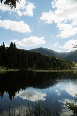 Güzel manzara olay yerinde küçük Arbersee Bavyera