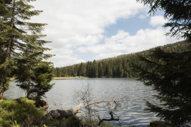 Güzel manzara olay yerinde küçük Arbersee Bavyera