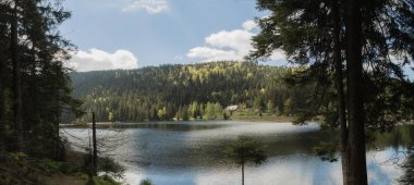 Güzel manzara olay yerinde küçük Arbersee Bavyera