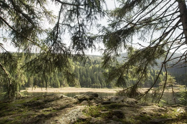 Beautiful landscape scene at the small Arbersee in Bavaria