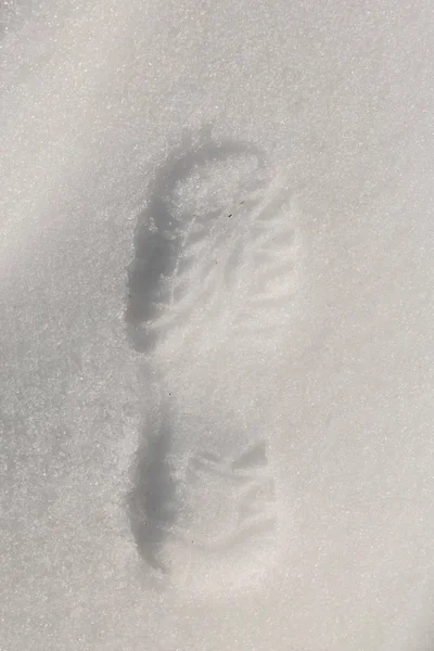 Empreinte d'une chaussure dans la neige — Photo