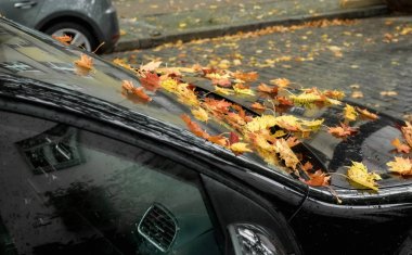 Siyah araba Sonbaharda yaprakların tam