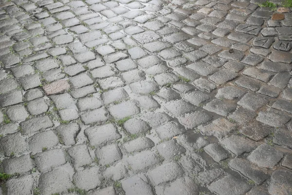 Piso de pedras de pavimentação molhado da chuva — Fotografia de Stock