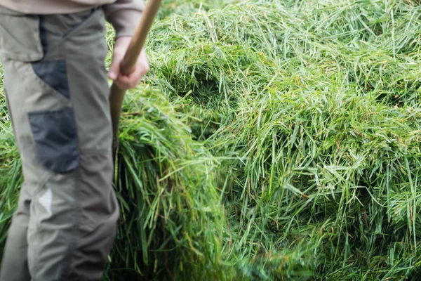 Vers gras op de kruiwagen — Stockfoto