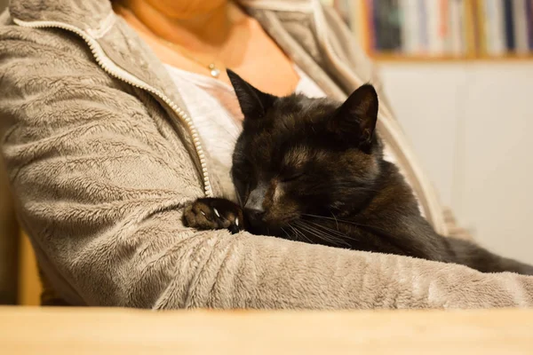Vrouw houdt relaxte kat in de arm — Stockfoto