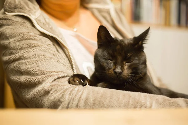 女人抱着放松的猫在手臂上 — 图库照片