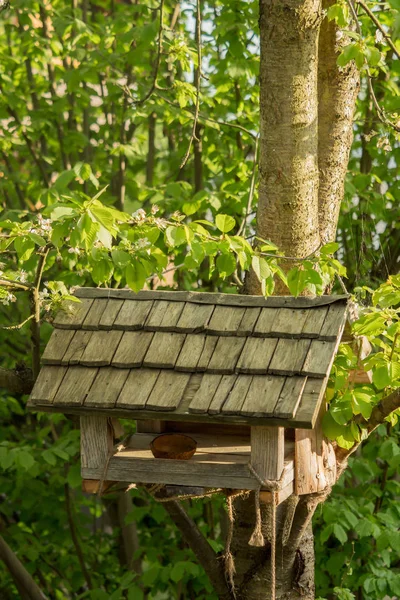 Een kleine Birdhouse hangt op de boom — Stockfoto