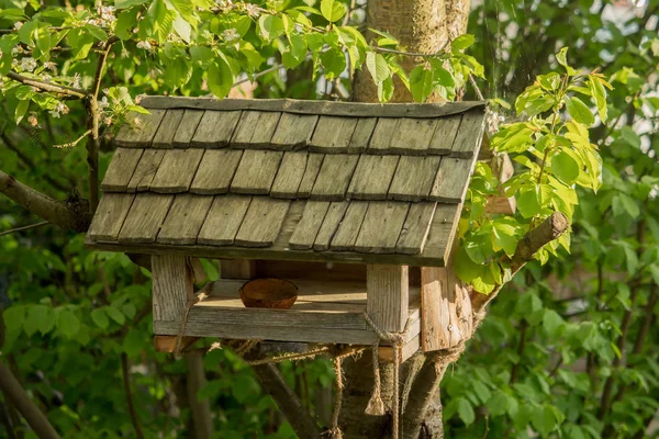 Een kleine Birdhouse hangt op de boom — Stockfoto