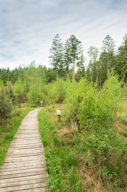 Kötü Feilnbach, Bavyera Moorpark gösterimler