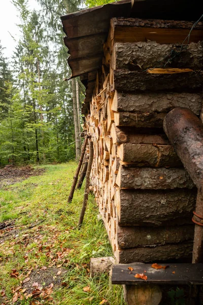 Des restes coupés de bois sont éparpillés dans la forêt — Photo