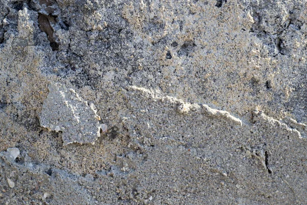鸡窝的质感弹壳的质感石头的质地 — 图库照片