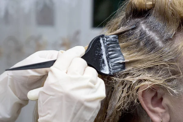 Female hands in gloves dye the hair of a woman. Hair coloring at home.