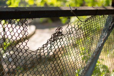 Çitte bir delik, yırtık bir ağ..