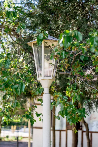 Vintage Style Picture Old Street Lamp Park — Stock Photo, Image