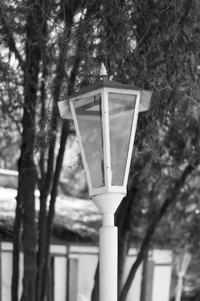 Black White Photo Old Street Lamp — Stock Photo, Image