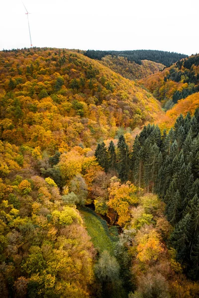 Sonbaharda çevredeki tepelere bakın.