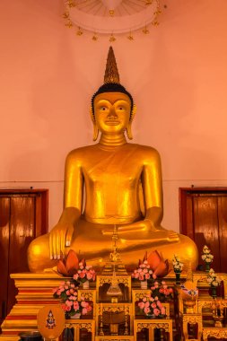 Tay tapınak. WAT Mongkol Nimit Tapınağı Phuket, Tayland. Altın buddha iç.