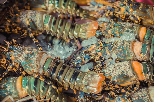 Spiny Lobster, shrimp fresh seafood market Thailand. — Stock Photo, Image