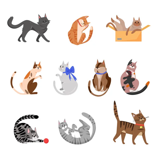 Purebred cats, playful pets vector illustrations set — Stock Vector