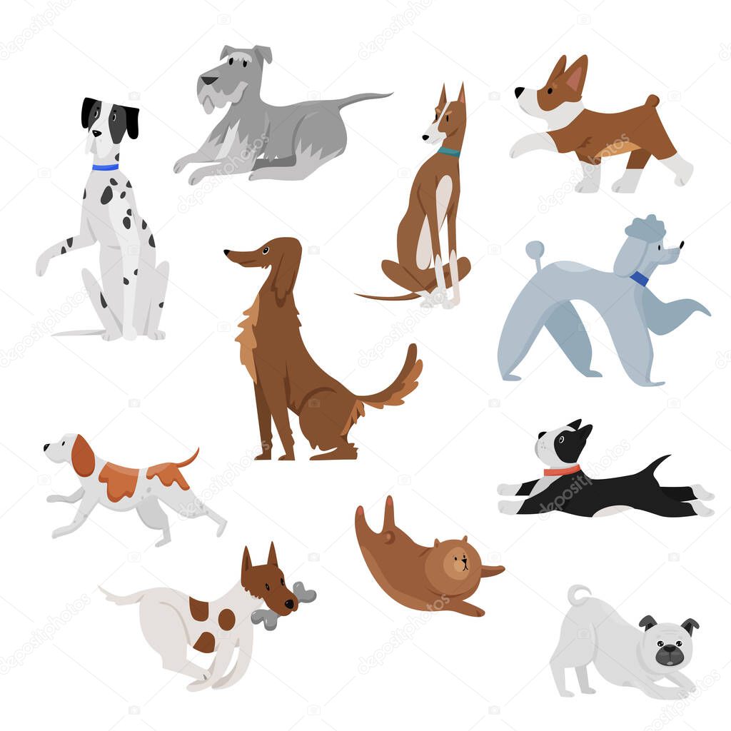 Cute funny domestic cartoon dogs pet vector illustration. Dog puppy pet characters. Furry human friends home happy animals set.