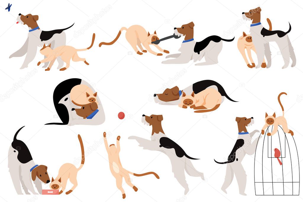 Cute touchable moments friendship dog and cat flat cartoon vector illustration character set