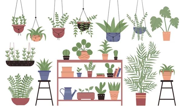 Große Menge Vielfalt Zimmerpflanzen in Töpfen flache Design Vektor Illustrations-Set — Stockvektor