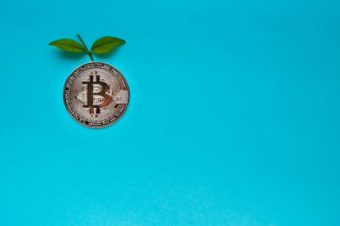 Mavi arkaplanda yaprakları olan bitcoinler
