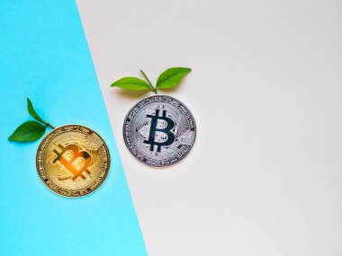 Mavi ve pembe arka planda yaprakları olan bitcoinler