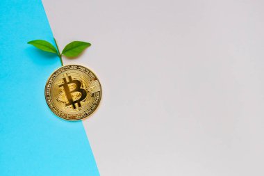 Yapraklı Altın Bitcoin