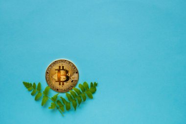 Mavi arkaplanda yaprakları olan bitcoinler
