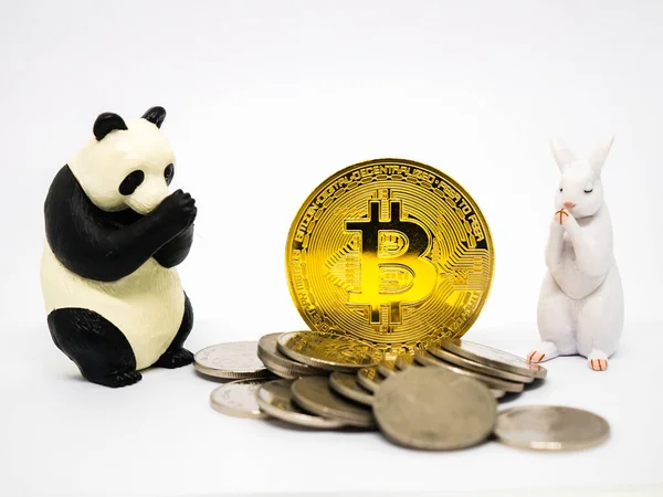 Nyúl és panda figurák bitcoinért imádkoznak. Jogdíjmentes Stock Képek
