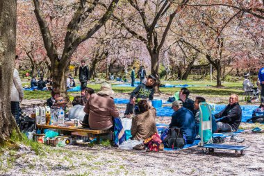 Hirosaki Kalesi Parkı 'nda turist.