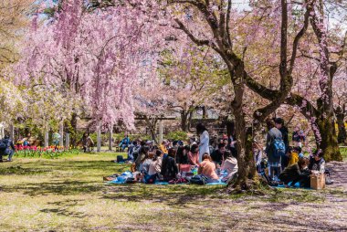 Hirosaki Kalesi Parkı 'nda turist.