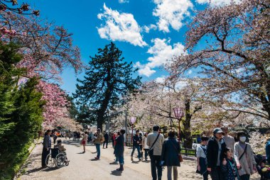 Hirosaki Kalesi Parkı 'nda turist.