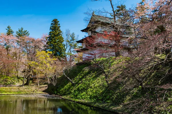 Fleurs de cerisier au parc du château d'Hirosaki — Photo