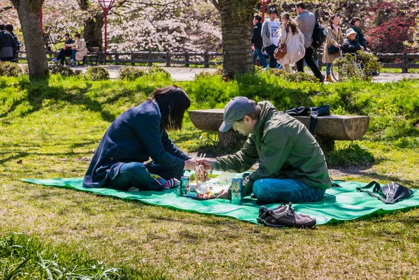 Turysta w parku zamkowym Hirosaki — Zdjęcie stockowe