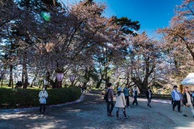 Hirosaki Kalesi Parkı 'nda turist.