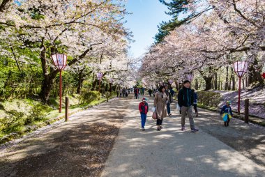 Hirosaki Kalesi Parkı 'nda turist.