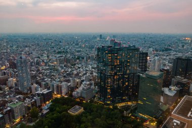 Metropolitan Hükümet Binası 'nda şehir manzarası