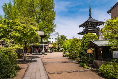 Hida Kokubunji Tapınağı, Takayama, Japonya