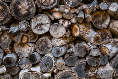 Ahşap yığın depolama günlüğe kaydeder.