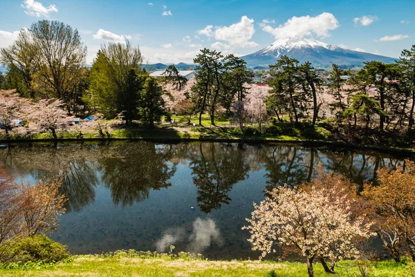 Mount Iwaki view from Hirosaki Castle Park — Stock Photo, Image