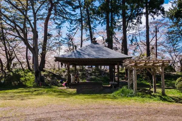 Kirschblüten im Hirosaki-Schlosspark — Stockfoto