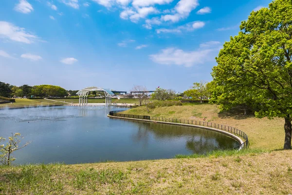 히타치 해변 공원 — 스톡 사진