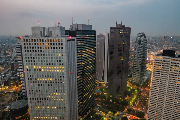 Stadsgezicht bij het Metropolitan Government Building — Stockfoto