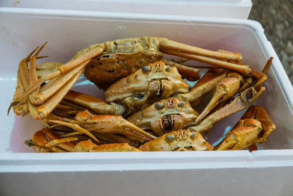 Japonya 'daki Ohmicho Ichiba Balık Pazarı