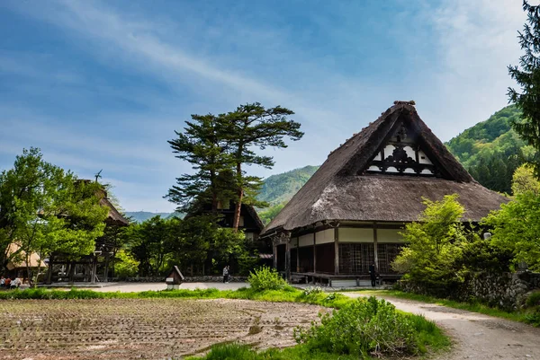 Shirakawago Tapınağı