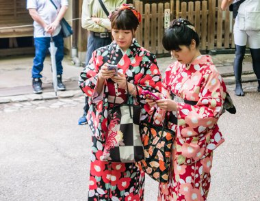 Nonomiya Tapınağında Turist